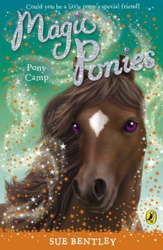 portada pony camp (en Inglés)