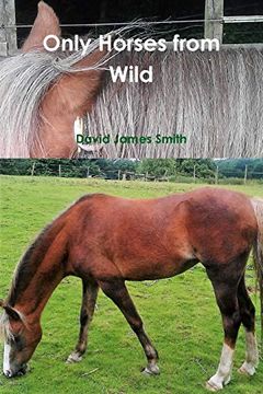 portada Only Horses From Wild (en Inglés)