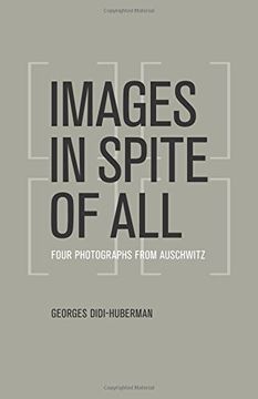 portada Images in Spite of All: Four Photographs From Auschwitz 