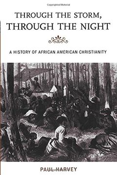 portada Through the Storm, Through the Night: A History of African American Christianity (The African American History Series)