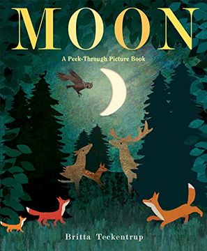 portada Moon: A Peek-Through Picture Book (en Inglés)