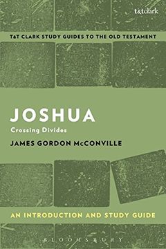 portada Joshua: An Introduction and Study Guide: Crossing Divides (T&T Clark's Study Guides to the Old Testament)