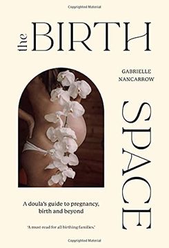 portada The Birth Space: A Doula'S Guide to Pregnancy, Birth and Beyond 