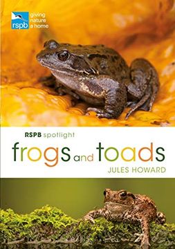 portada Rspb Spotlight Frogs and Toads (en Inglés)