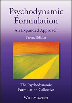 portada Psychodynamic Formulation: An Expanded Approach (in English)