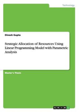 portada Strategic Allocation of Resources Using Linear Programming Model with Parametric Analysis (in English)