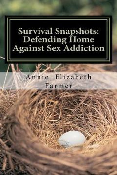 portada survival snapshots: defending home against sex addiction (en Inglés)