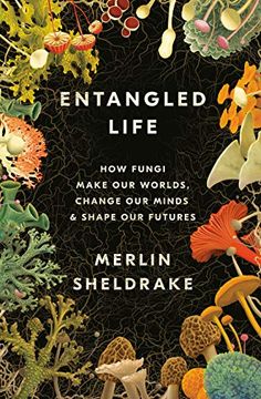 portada Entangled Life: How Fungi Make our Worlds, Change our Minds, and Shape our Futures: How Fungi Make our Worlds, Change our Minds & Shape our Futures (in English)