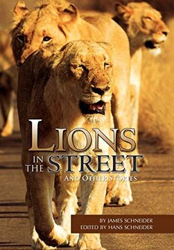 portada Lions in the Street (en Inglés)