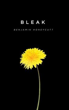 portada Bleak: A Story of Bullying, Rage and Survival (in English)