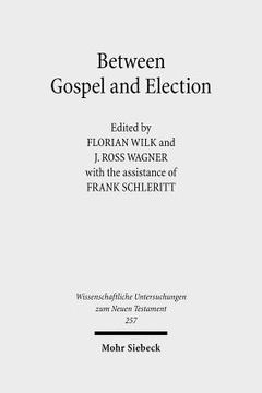 portada Between Gospel and Election: Explorations in the Interpretation of Romans 9-11 (en Inglés)