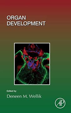 portada Organ Development, Volume 132 (Current Topics in Developmental Biology) (en Inglés)