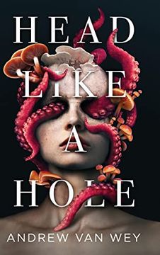 portada Head Like a Hole: A Novel of Horror (en Inglés)