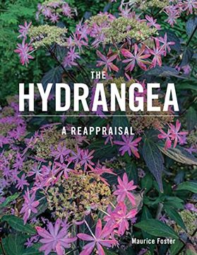 portada The Hydrangea: A Reappraisal