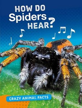 portada How do Spiders Hear? (Crazy Animal Facts) (en Inglés)
