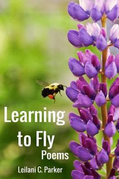 portada Learning to Fly (in English)