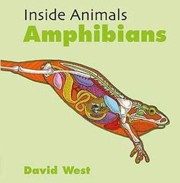 portada Amphibians (Inside Animals) (in English)