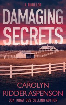 portada Damaging Secrets (en Inglés)