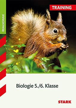 portada Training Realschule - Biologie (en Alemán)