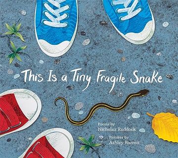 portada This is a Tiny Fragile Snake (en Inglés)