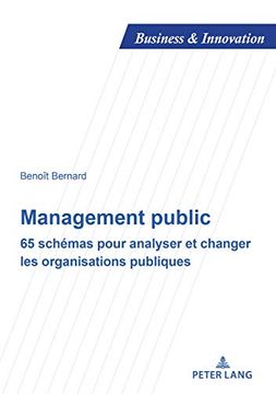 portada Management Public: 65 Schémas Pour Analyser Et Changer Les Organisations Publiques (en Francés)