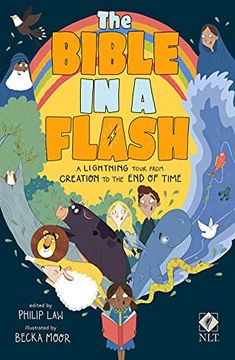 portada The Bible in a Flash: A Lightning Tour From Creation to the end of Time (in English)