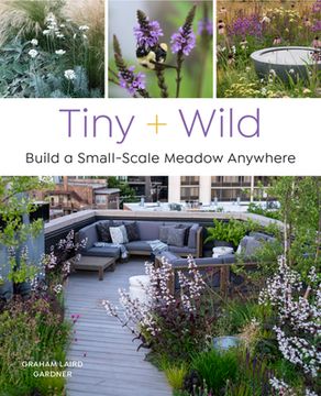 portada Tiny and Wild: Build a Small-Scale Meadow Anywhere (en Inglés)