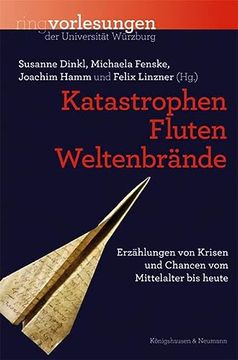 portada Katastrophen, Fluten, Weltenbrände Erzählungen von Krisen und Chancen vom Mittelalter bis Heute (en Alemán)