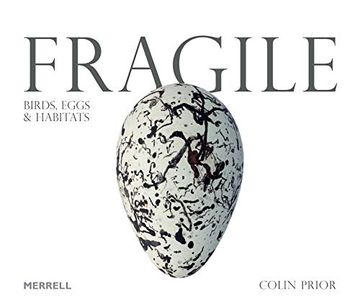portada Fragile: Birds, Eggs and Habitats (en Inglés)
