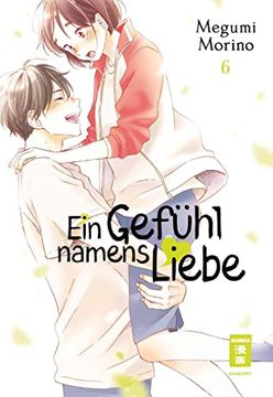 portada Ein Gefühl Namens Liebe 06 (en Alemán)