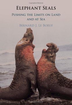 portada Elephant Seals: Pushing the Limits on Land and at sea (in English)