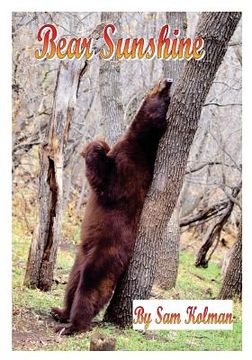 portada Bear Sunshine (en Inglés)