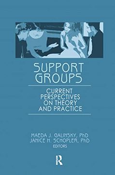 portada Support Groups: Current Perspectives on Theory and Practice (en Inglés)