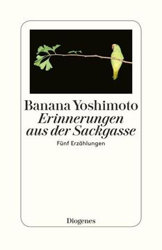 portada Erinnerungen aus der Sackgasse (in German)