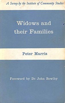 portada Widows and Their Families (en Inglés)