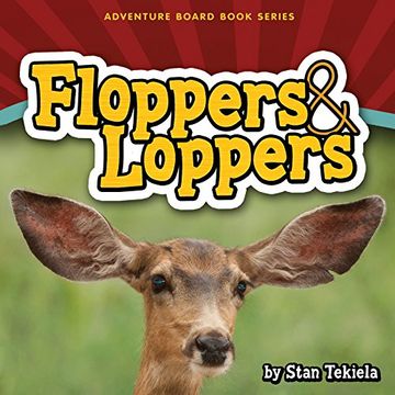 portada Floppers & Loppers (Adventure Boardbook Series) (en Inglés)