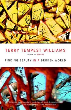 portada Finding Beauty in a Broken World (en Inglés)