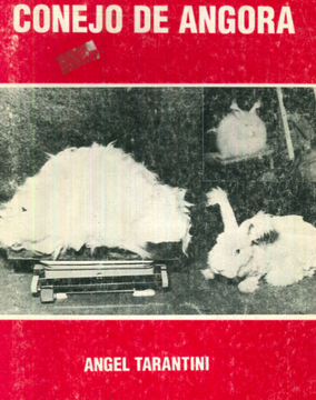 portada Producción del Conejo de Angora