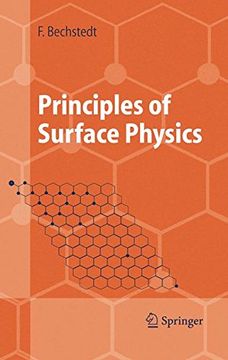 portada Principles of Surface Physics (Advanced Texts in Physics) 