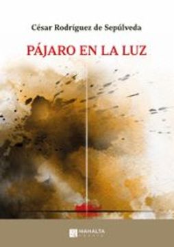 portada Pájaro en la luz (in Spanish)