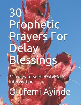 portada 30 Prophetic Prayers For Delay Blessings: 21 ways to seek HEAVENLY intervention in THE BIBLE (en Inglés)