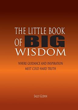 portada The Little Book of BIG Wisdom: Where Guidance and Inspiration Meets Cold Hard Truth