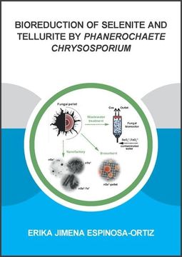 portada Bioreduction of Selenite and Tellurite by Phanerochaete Chrysosporium (in English)