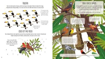 portada Birds of the World Activity Book (en Inglés)