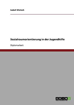 portada Sozialraumorientierung in der Jugendhilfe (German Edition)