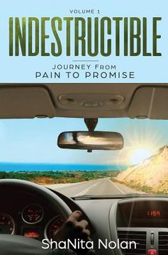 portada Indestructible: Journey from Pain to Promise (en Inglés)