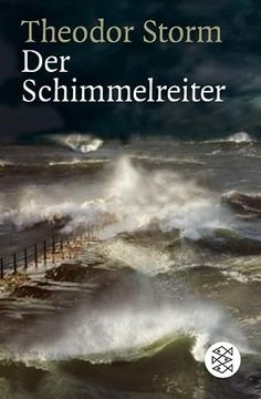 portada Der Schimmelreiter: Novelle (en Alemán)