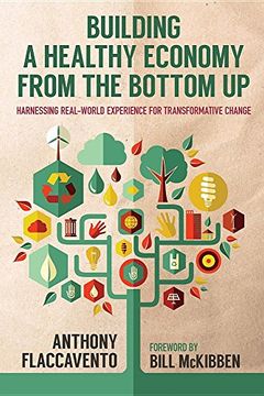 portada Building A Healthy Economy From The Bottom Up: Harnessing Real World Experience For Transformative Change 