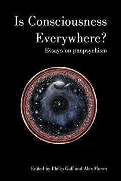 portada Is Consciousness Everywhere? Essays on Panpsychism (Journal of Consciousness Studies) (in English)