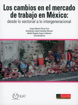 portada Los Cambios en el Mercado de Trabajo en México. Desde lo Sectorial a lo Intergeneracional